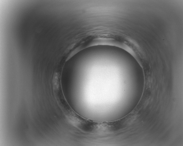 X0000070390121200606161420