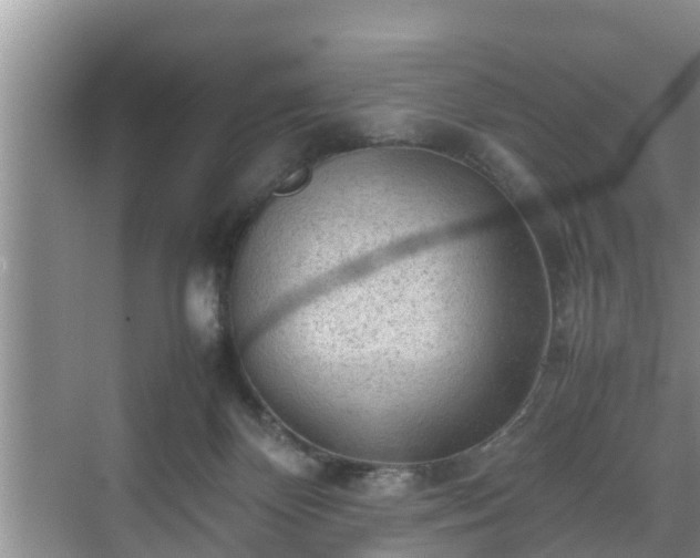 X0000070390124200606161420