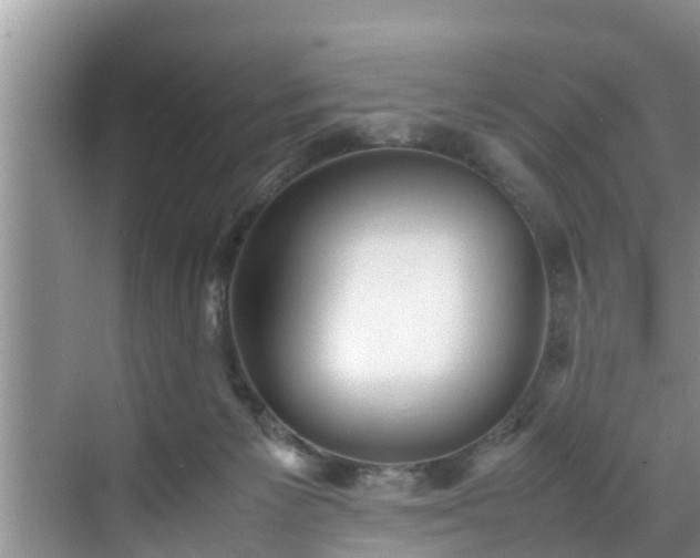 X0000070390125200606161420