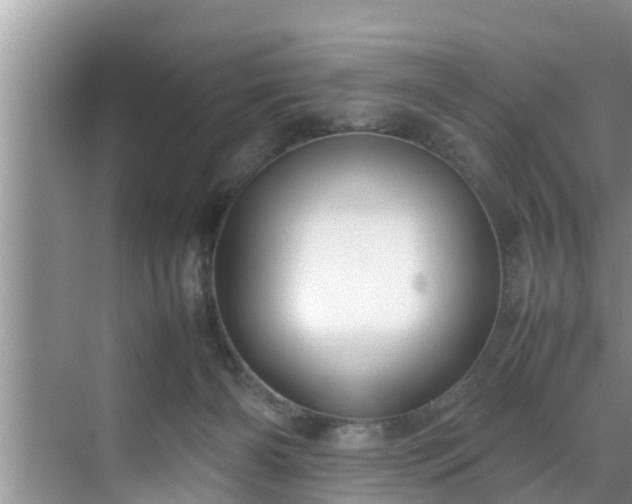 X0000070390126200606161420