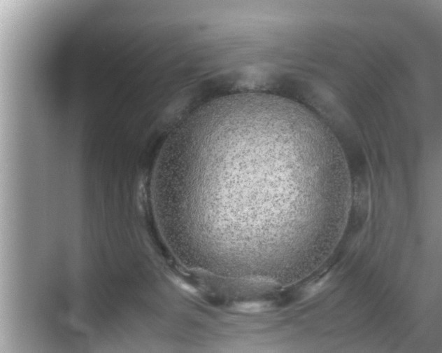 X0000070390127200606161420