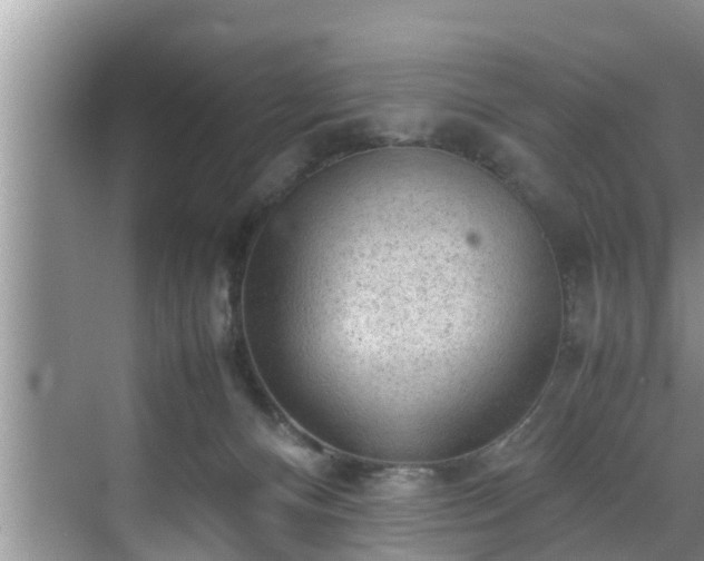 X0000070390128200606161420