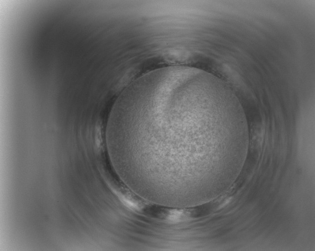 X0000070390130200606161420