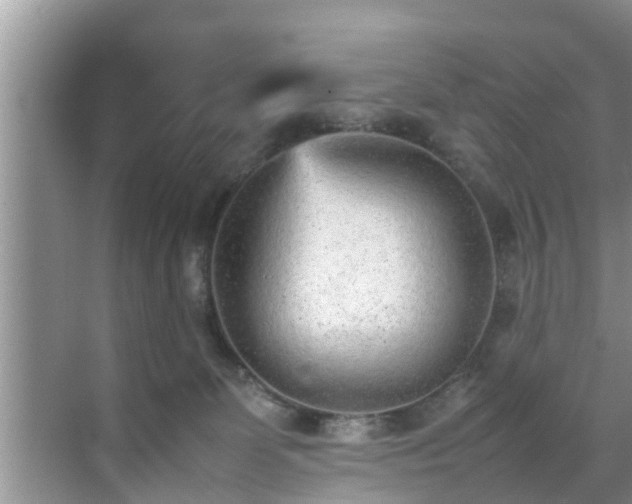 X0000070390131200606161420