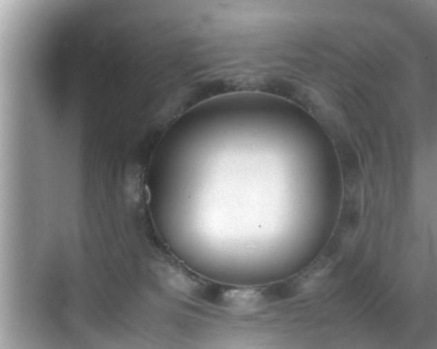 X0000070390133200606161420