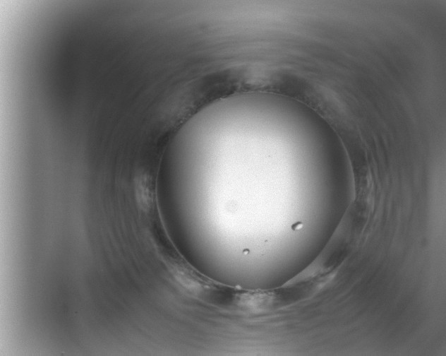 X0000070390135200606161420