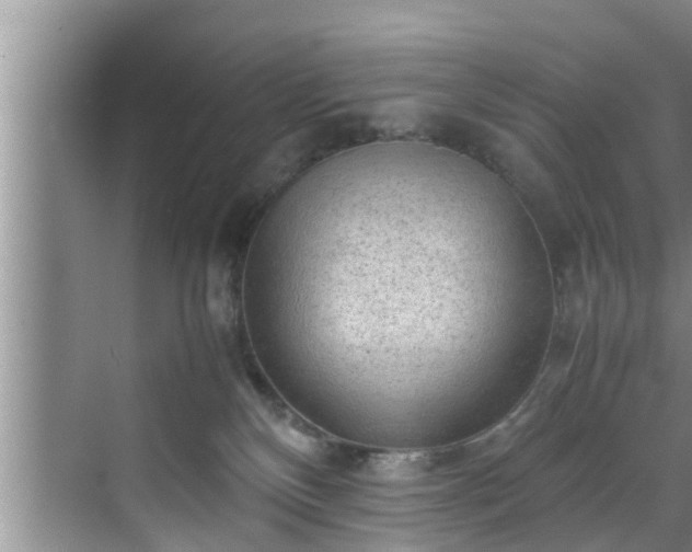 X0000070390136200606161420