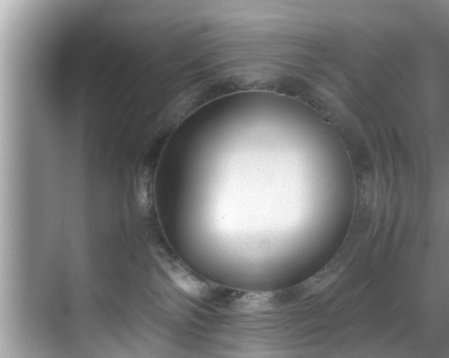 X0000070390138200606161420