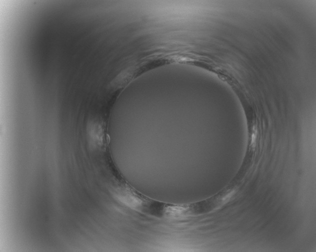 X0000070390139200606161420