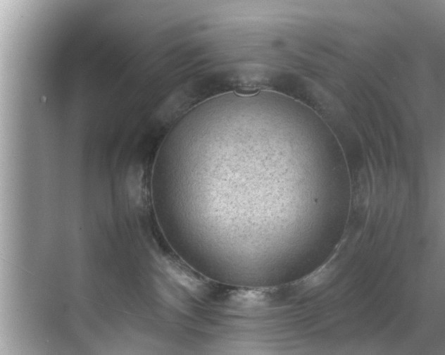 X0000070390140200606161420