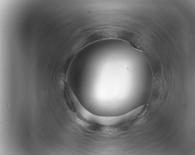 X0000070390141200606161420