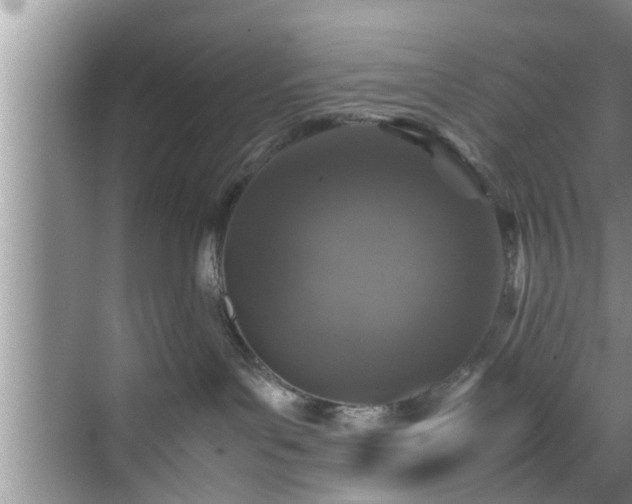 X0000070390143200606161420