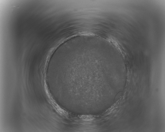 X0000070390145200606161419