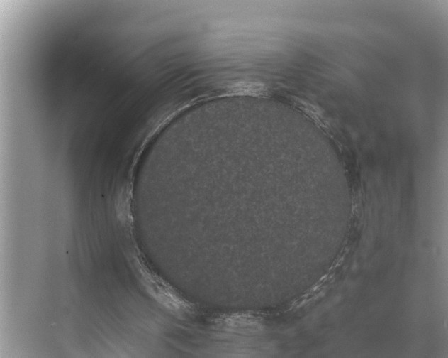 X0000070390146200606161419