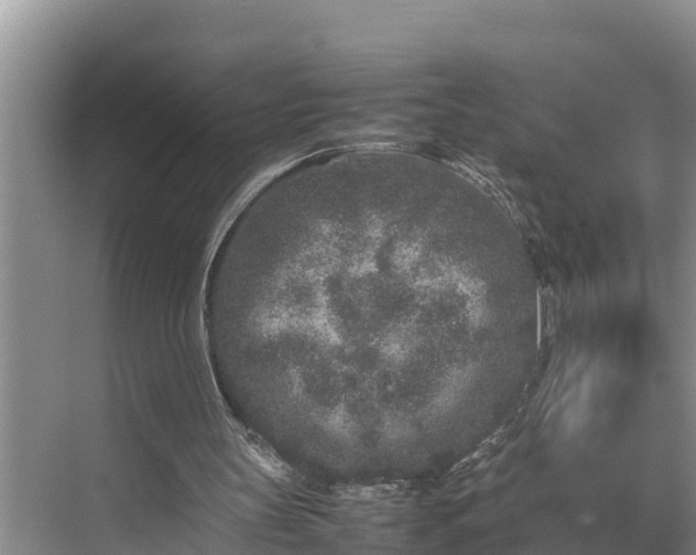 X0000070390147200606161419