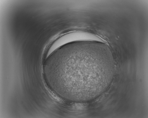 X0000070390149200606161419