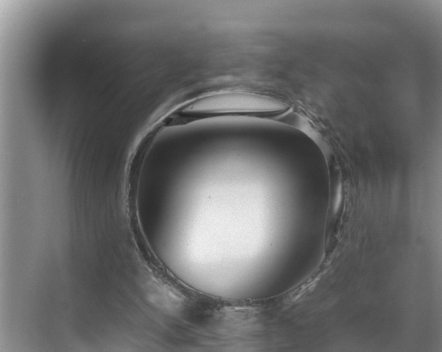 X0000070390150200606161419