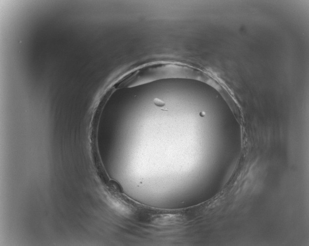 X0000070390151200606161419