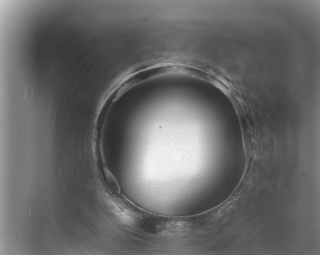 X0000070390152200606161419