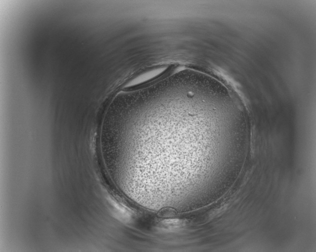 X0000070390153200606161419