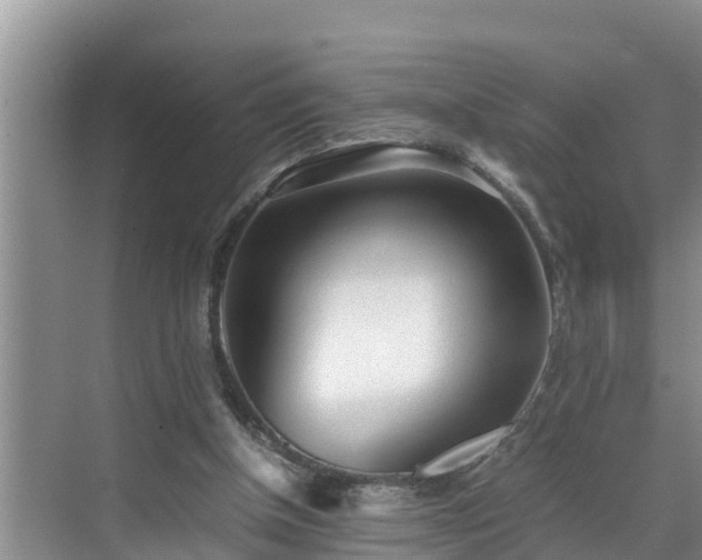 X0000070390154200606161419