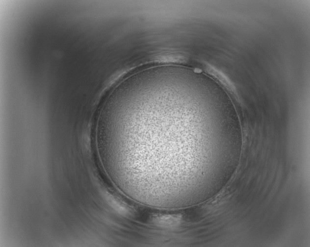 X0000070390155200606161419