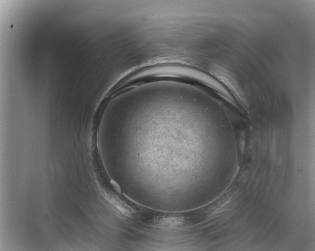 X0000070390156200606161419