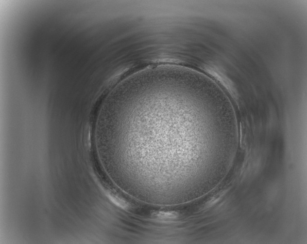 X0000070390157200606161419