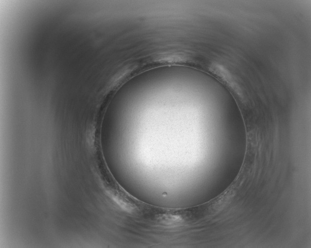 X0000070390159200606161419