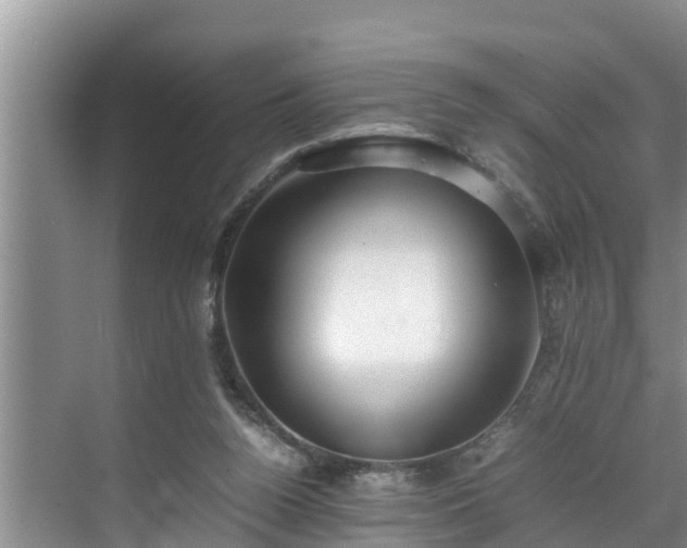 X0000070390160200606161419