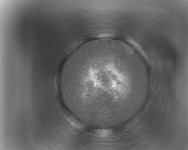 X0000070390161200606161419