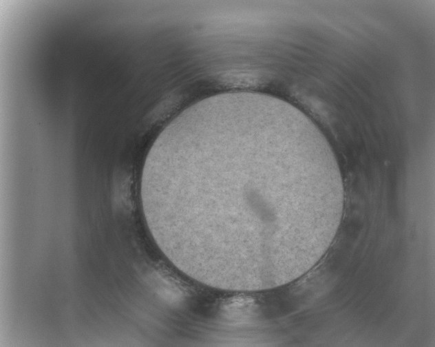 X0000070390162200606161419