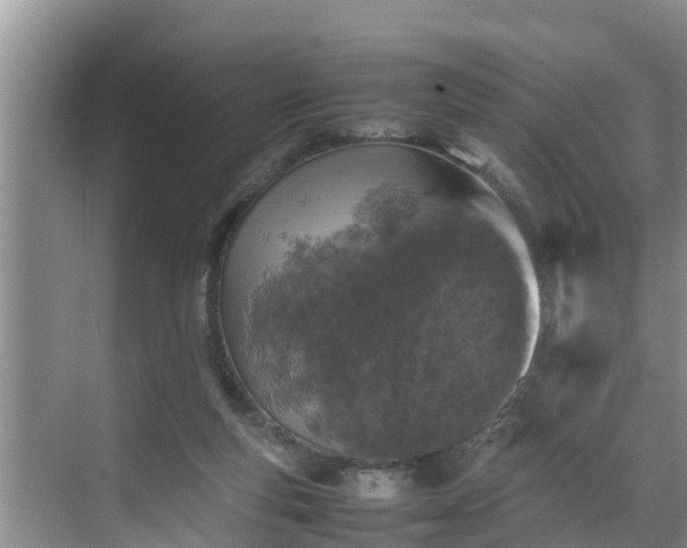 X0000070390163200606161419