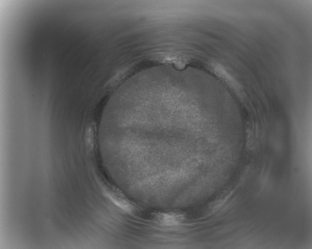 X0000070390165200606161419