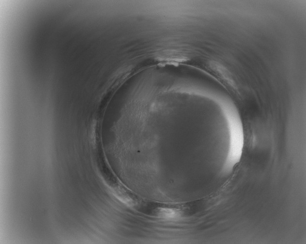 X0000070390167200606161419