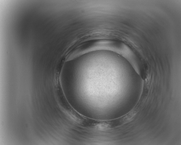 X0000070390168200606161419