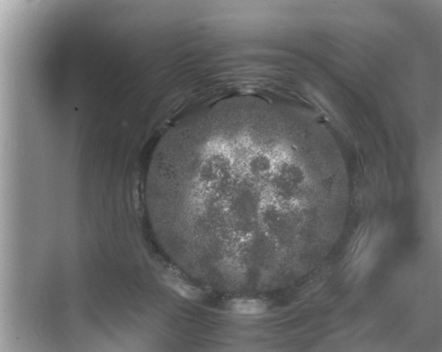 X0000070390169200606161419