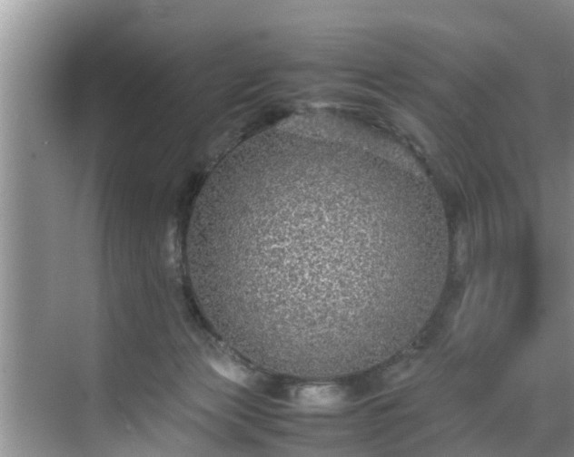 X0000070390173200606161419