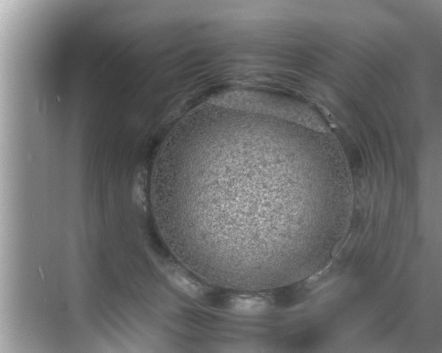 X0000070390175200606161419