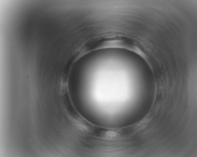 X0000070390176200606161419