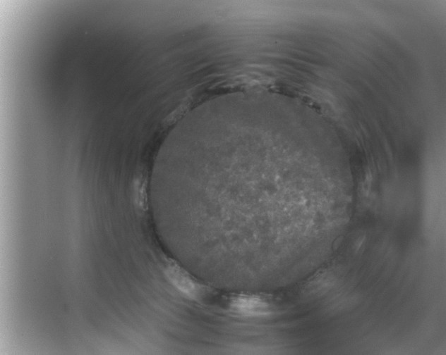 X0000070390177200606161419