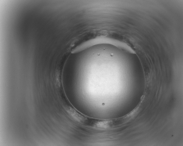 X0000070390178200606161419