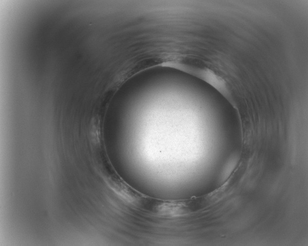 X0000070390179200606161419