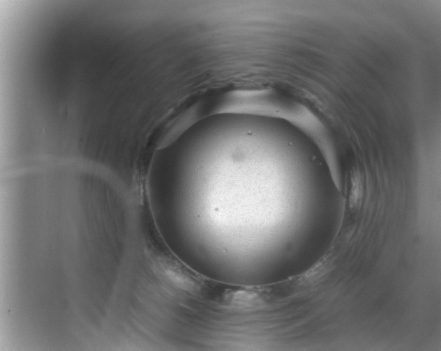 X0000070390180200606161419