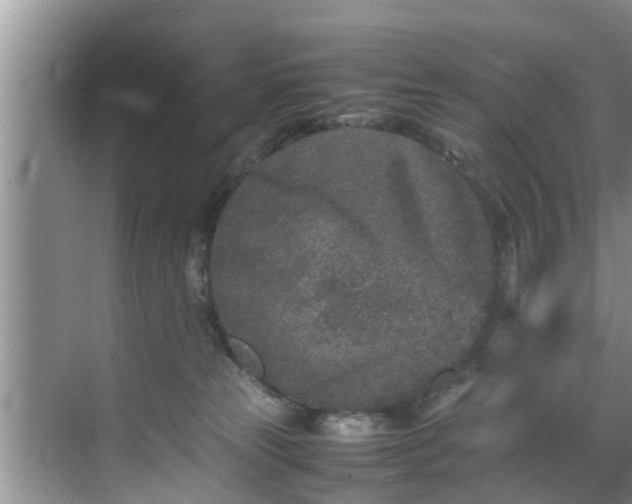 X0000070390181200606161419