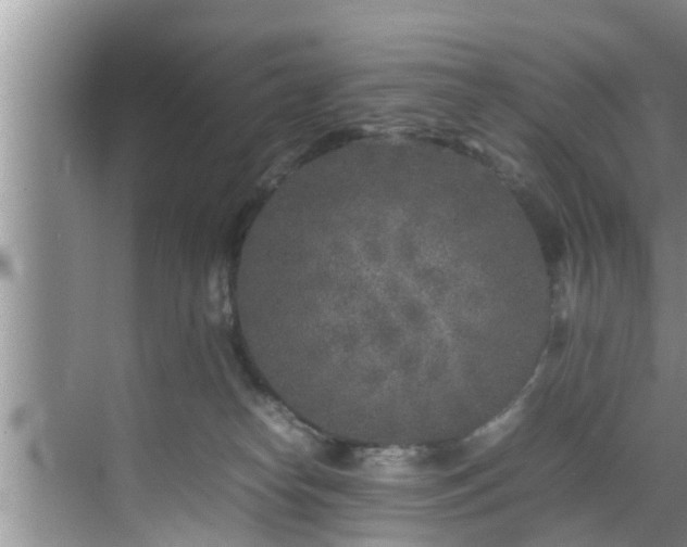 X0000070390182200606161419