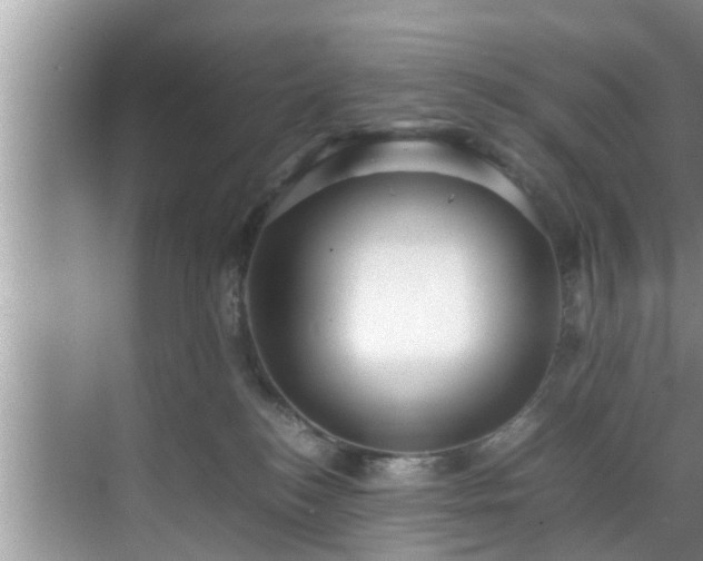 X0000070390184200606161419