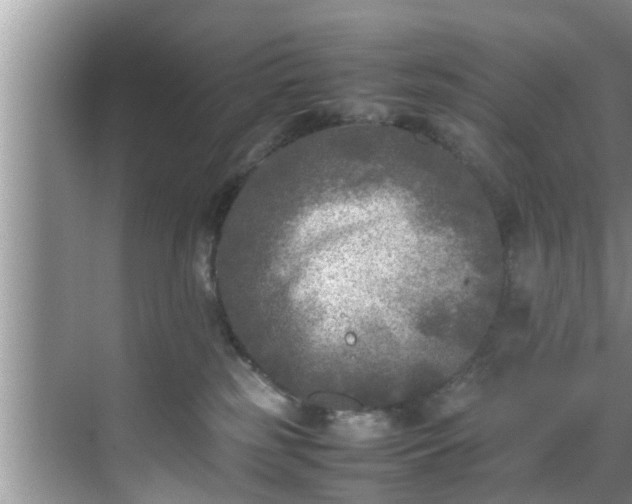 X0000070390185200606161419