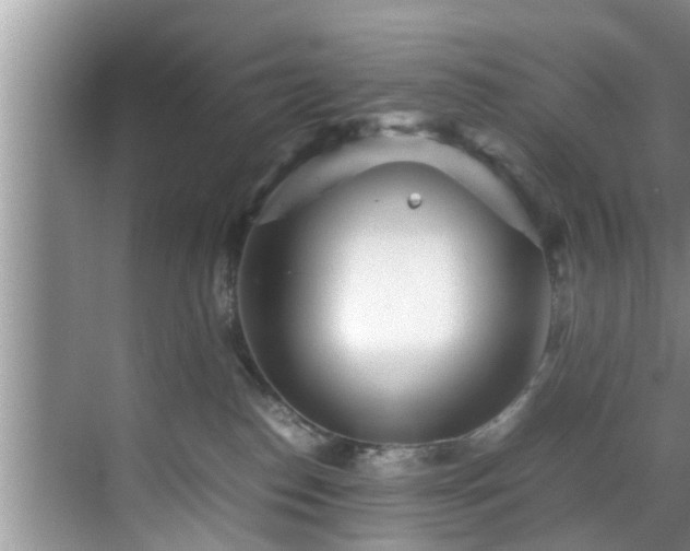 X0000070390186200606161419