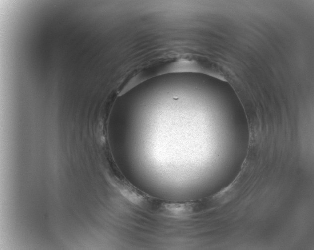 X0000070390187200606161419